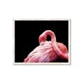 Picture of Pink in Contrast  _GroupedProduct_Rectangle_Landscape_Photography _GroupedProduct_Rectangle_Landscape_Framed_Matted_