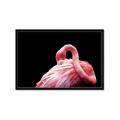Picture of Pink in Contrast  _GroupedProduct_Rectangle_Landscape_Photography _GroupedProduct_Rectangle_Landscape_Framed_Matted_