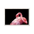 Picture of Pink in Contrast  _GroupedProduct_Rectangle_Landscape_Photography _GroupedProduct_Rectangle_Landscape_Framed_Matted_