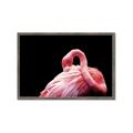 Picture of Pink in Contrast  _GroupedProduct_Rectangle_Landscape_Photography _GroupedProduct_Rectangle_Landscape_Framed_Matted_