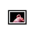 Picture of Pink in Contrast  _GroupedProduct_Rectangle_Landscape_Photography _GroupedProduct_Rectangle_Landscape_Framed_Matted_