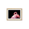 Picture of Pink in Contrast  _GroupedProduct_Rectangle_Landscape_Photography _GroupedProduct_Rectangle_Landscape_Framed_Matted_