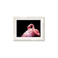 Picture of Pink in Contrast  _GroupedProduct_Rectangle_Landscape_Photography _GroupedProduct_Rectangle_Landscape_Framed_Matted_