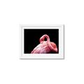 Picture of Pink in Contrast  _GroupedProduct_Rectangle_Landscape_Photography _GroupedProduct_Rectangle_Landscape_Framed_Matted_