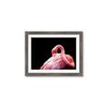 Picture of Pink in Contrast  _GroupedProduct_Rectangle_Landscape_Photography _GroupedProduct_Rectangle_Landscape_Framed_Matted_
