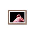 Picture of Pink in Contrast  _GroupedProduct_Rectangle_Landscape_Photography _GroupedProduct_Rectangle_Landscape_Framed_Matted_