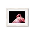 Picture of Pink in Contrast  _GroupedProduct_Rectangle_Landscape_Photography _GroupedProduct_Rectangle_Landscape_Framed_Matted_