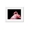 Picture of Pink in Contrast  _GroupedProduct_Rectangle_Landscape_Photography _GroupedProduct_Rectangle_Landscape_Framed_Matted_