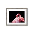 Picture of Pink in Contrast  _GroupedProduct_Rectangle_Landscape_Photography _GroupedProduct_Rectangle_Landscape_Framed_Matted_
