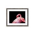 Picture of Pink in Contrast  _GroupedProduct_Rectangle_Landscape_Photography _GroupedProduct_Rectangle_Landscape_Framed_Matted_