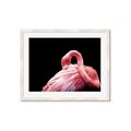 Picture of Pink in Contrast  _GroupedProduct_Rectangle_Landscape_Photography _GroupedProduct_Rectangle_Landscape_Framed_Matted_