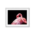 Picture of Pink in Contrast  _GroupedProduct_Rectangle_Landscape_Photography _GroupedProduct_Rectangle_Landscape_Framed_Matted_