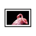 Picture of Pink in Contrast  _GroupedProduct_Rectangle_Landscape_Photography _GroupedProduct_Rectangle_Landscape_Framed_Matted_