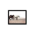 Picture of Ride Along _GroupedProduct_Rectangle_Landscape_Photography _GroupedProduct_Rectangle_Landscape_Framed_Matted_