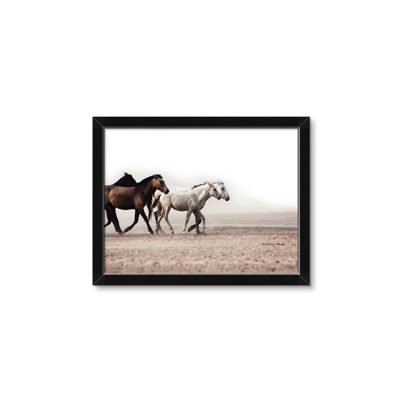 Picture of Ride Along _GroupedProduct_Rectangle_Landscape_Photography _GroupedProduct_Rectangle_Landscape_Framed_Matted_