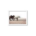 Picture of Ride Along _GroupedProduct_Rectangle_Landscape_Photography _GroupedProduct_Rectangle_Landscape_Framed_Matted_