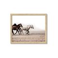 Picture of Ride Along _GroupedProduct_Rectangle_Landscape_Photography _GroupedProduct_Rectangle_Landscape_Framed_Matted_