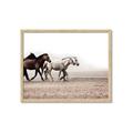 Picture of Ride Along _GroupedProduct_Rectangle_Landscape_Photography _GroupedProduct_Rectangle_Landscape_Framed_Matted_