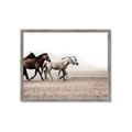 Picture of Ride Along _GroupedProduct_Rectangle_Landscape_Photography _GroupedProduct_Rectangle_Landscape_Framed_Matted_