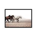 Picture of Ride Along _GroupedProduct_Rectangle_Landscape_Photography _GroupedProduct_Rectangle_Landscape_Framed_Matted_