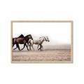 Picture of Ride Along _GroupedProduct_Rectangle_Landscape_Photography _GroupedProduct_Rectangle_Landscape_Framed_Matted_