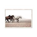 Picture of Ride Along _GroupedProduct_Rectangle_Landscape_Photography _GroupedProduct_Rectangle_Landscape_Framed_Matted_