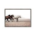Picture of Ride Along _GroupedProduct_Rectangle_Landscape_Photography _GroupedProduct_Rectangle_Landscape_Framed_Matted_
