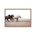 Picture of Ride Along _GroupedProduct_Rectangle_Landscape_Photography _GroupedProduct_Rectangle_Landscape_Framed_Matted_