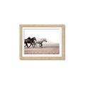 Picture of Ride Along _GroupedProduct_Rectangle_Landscape_Photography _GroupedProduct_Rectangle_Landscape_Framed_Matted_
