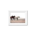 Picture of Ride Along _GroupedProduct_Rectangle_Landscape_Photography _GroupedProduct_Rectangle_Landscape_Framed_Matted_