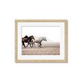 Picture of Ride Along _GroupedProduct_Rectangle_Landscape_Photography _GroupedProduct_Rectangle_Landscape_Framed_Matted_