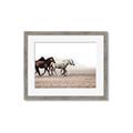 Picture of Ride Along _GroupedProduct_Rectangle_Landscape_Photography _GroupedProduct_Rectangle_Landscape_Framed_Matted_