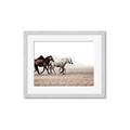 Picture of Ride Along _GroupedProduct_Rectangle_Landscape_Photography _GroupedProduct_Rectangle_Landscape_Framed_Matted_