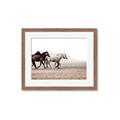 Picture of Ride Along _GroupedProduct_Rectangle_Landscape_Photography _GroupedProduct_Rectangle_Landscape_Framed_Matted_