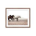 Picture of Ride Along _GroupedProduct_Rectangle_Landscape_Photography _GroupedProduct_Rectangle_Landscape_Framed_Matted_