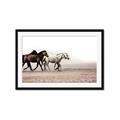 Picture of Ride Along _GroupedProduct_Rectangle_Landscape_Photography _GroupedProduct_Rectangle_Landscape_Framed_Matted_