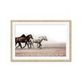 Picture of Ride Along _GroupedProduct_Rectangle_Landscape_Photography _GroupedProduct_Rectangle_Landscape_Framed_Matted_