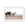 Picture of Ride Along _GroupedProduct_Rectangle_Landscape_Photography _GroupedProduct_Rectangle_Landscape_Framed_Matted_