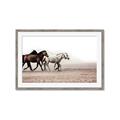 Picture of Ride Along _GroupedProduct_Rectangle_Landscape_Photography _GroupedProduct_Rectangle_Landscape_Framed_Matted_