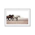Picture of Ride Along _GroupedProduct_Rectangle_Landscape_Photography _GroupedProduct_Rectangle_Landscape_Framed_Matted_