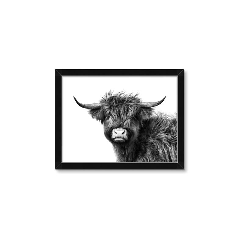 Picture of Scottish Highlands  _GroupedProduct_Rectangle_Landscape_Photography _GroupedProduct_Rectangle_Landscape_Framed_Matted_