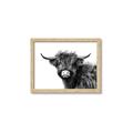 Picture of Scottish Highlands  _GroupedProduct_Rectangle_Landscape_Photography _GroupedProduct_Rectangle_Landscape_Framed_Matted_