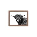 Picture of Scottish Highlands  _GroupedProduct_Rectangle_Landscape_Photography _GroupedProduct_Rectangle_Landscape_Framed_Matted_