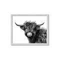 Picture of Scottish Highlands  _GroupedProduct_Rectangle_Landscape_Photography _GroupedProduct_Rectangle_Landscape_Framed_Matted_