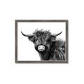 Picture of Scottish Highlands  _GroupedProduct_Rectangle_Landscape_Photography _GroupedProduct_Rectangle_Landscape_Framed_Matted_