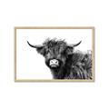Picture of Scottish Highlands  _GroupedProduct_Rectangle_Landscape_Photography _GroupedProduct_Rectangle_Landscape_Framed_Matted_