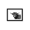 Picture of Scottish Highlands  _GroupedProduct_Rectangle_Landscape_Photography _GroupedProduct_Rectangle_Landscape_Framed_Matted_