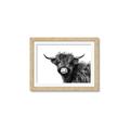 Picture of Scottish Highlands  _GroupedProduct_Rectangle_Landscape_Photography _GroupedProduct_Rectangle_Landscape_Framed_Matted_