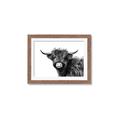Picture of Scottish Highlands  _GroupedProduct_Rectangle_Landscape_Photography _GroupedProduct_Rectangle_Landscape_Framed_Matted_