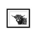Picture of Scottish Highlands  _GroupedProduct_Rectangle_Landscape_Photography _GroupedProduct_Rectangle_Landscape_Framed_Matted_